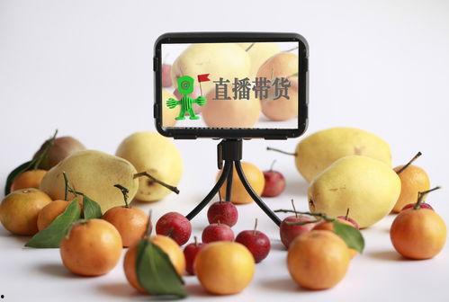 小红书娱乐圈吃瓜直播带货