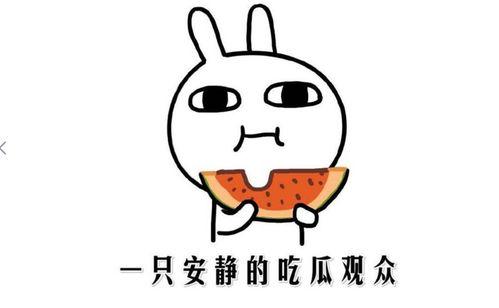 网络中的吃瓜是什么意思,吃瓜群众的趣味与智慧